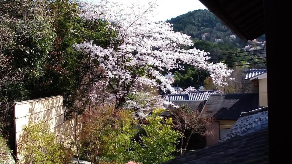 金閣荘 Hotel Kiotó Kültér fotó